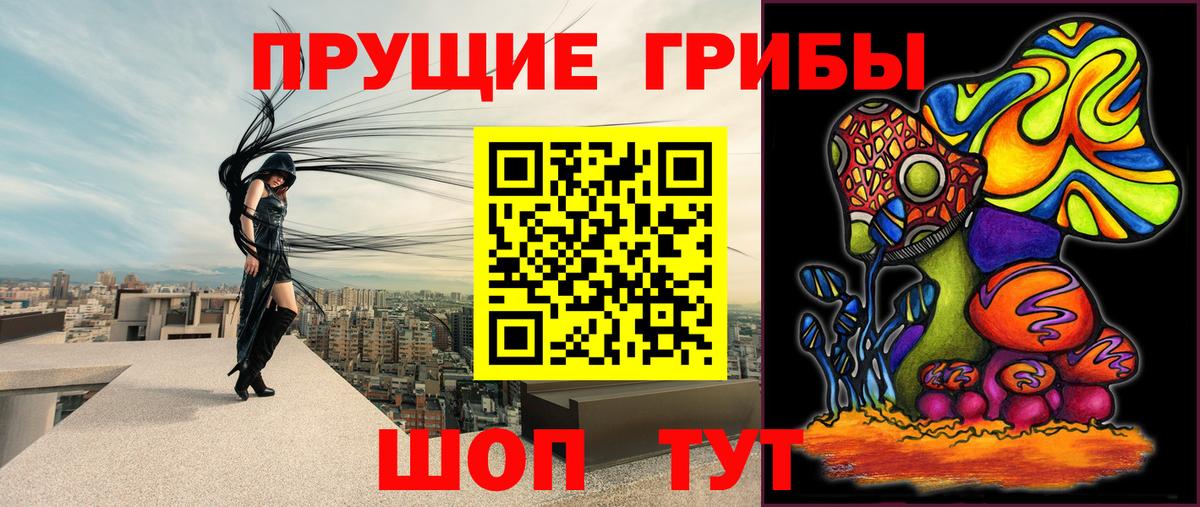 Галлюциногенные грибы GOLDEN TEACHER Камышлов